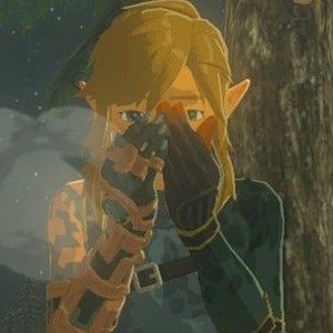 Meet your Posher, Link